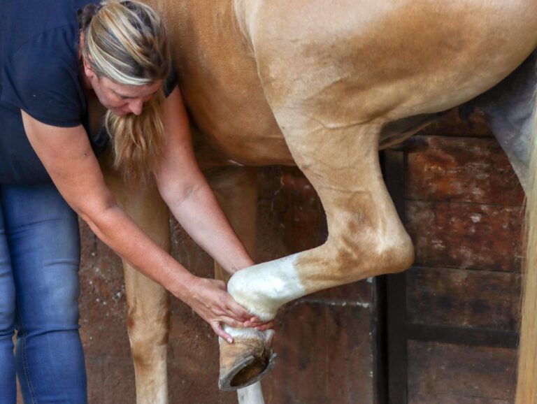 WhatsApp Image 2025-06-22 at 09.26.36_363d5d03