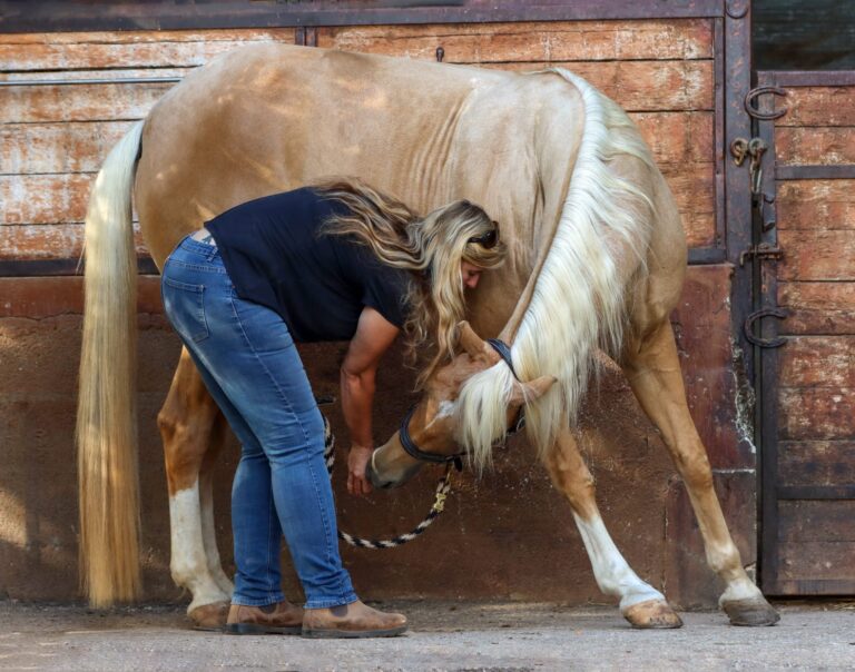 WhatsApp Image 2025-06-22 at 09.26.36_9160f4f3