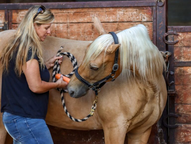 WhatsApp Image 2025-06-22 at 09.26.36_d3da1580