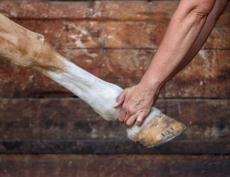 WhatsApp Image 2025-06-22 at 09.26.37_5058937e