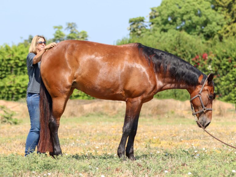 WhatsApp Image 2025-06-22 at 09.26.37_947349e5