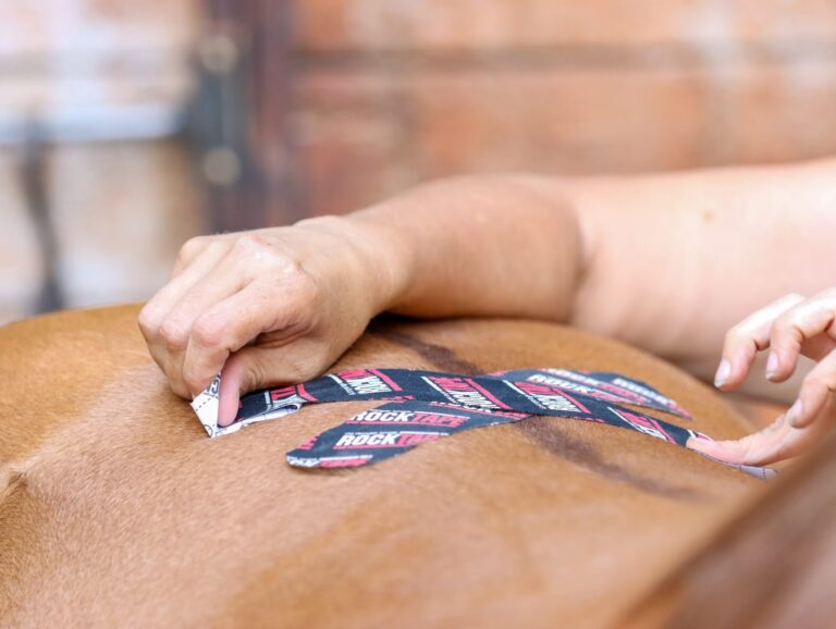 WhatsApp Image 2025-06-22 at 09.26.37_ddadc7df