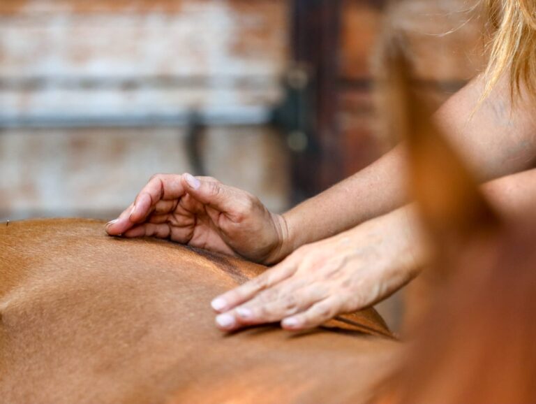 WhatsApp Image 2025-06-22 at 09.26.38_4872213e