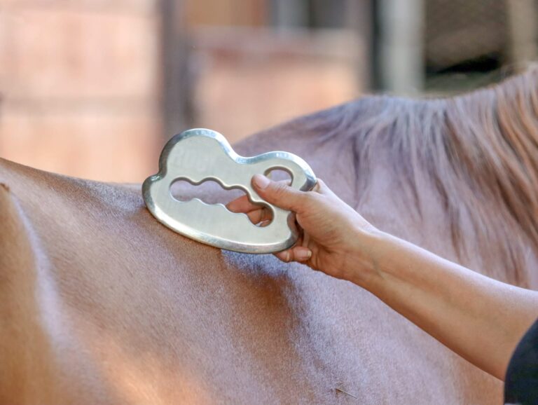 WhatsApp Image 2025-06-22 at 09.26.38_7fdf0001