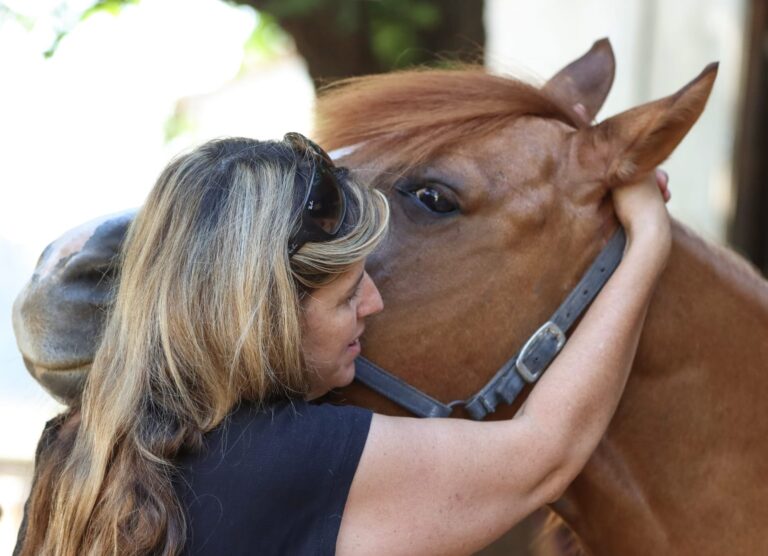 WhatsApp Image 2025-06-22 at 09.26.38_dfd03557