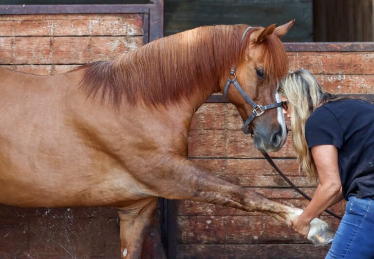 WhatsApp Image 2025-06-22 at 09.26.38_f31f6913