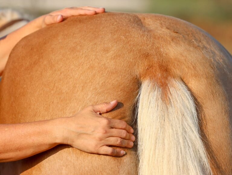 WhatsApp Image 2025-06-22 at 09.26.39_b148065c