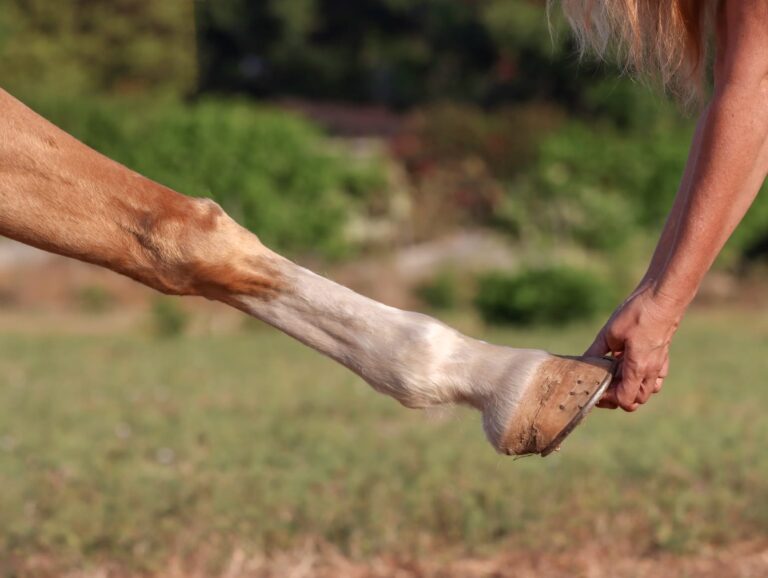 WhatsApp Image 2025-06-22 at 09.26.39_d05a03ab