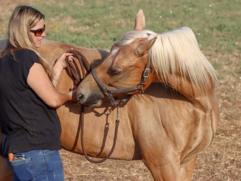 WhatsApp Image 2025-06-22 at 09.26.39_e134673d