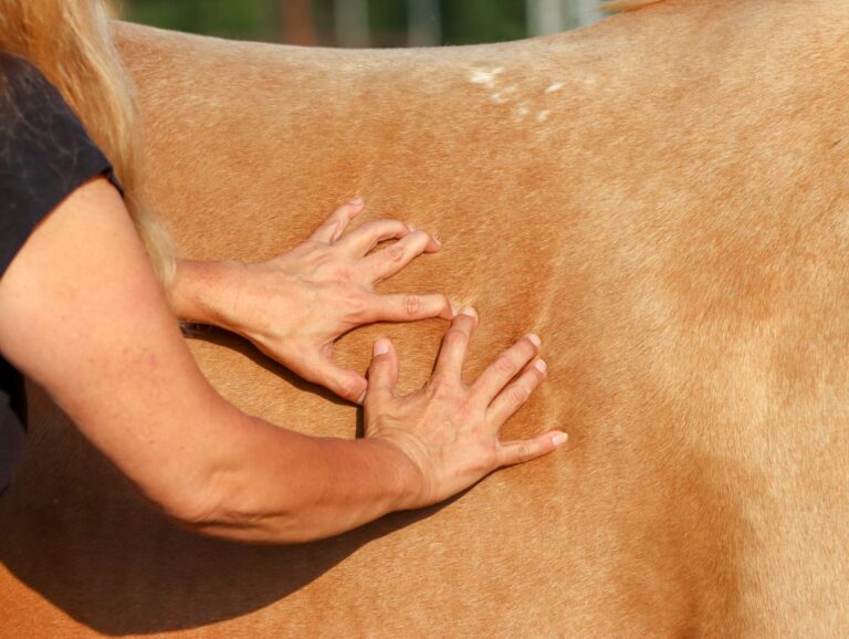 WhatsApp Image 2025-06-22 at 09.26.39_f4efcd9b